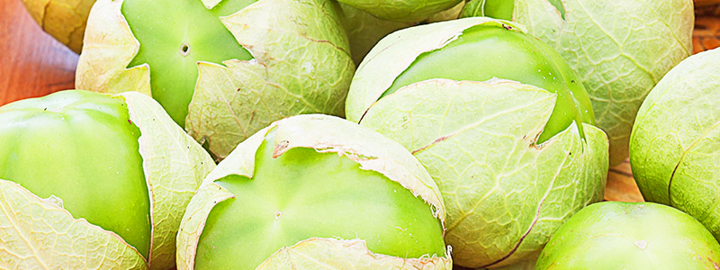 Read more about the article Tomatillos | Information | Article